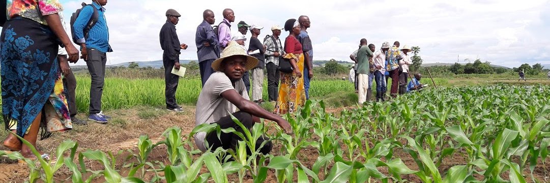 HOPELANDCONGO banner