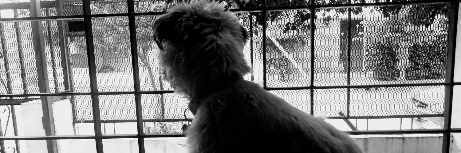 roamaya3's profile banner image