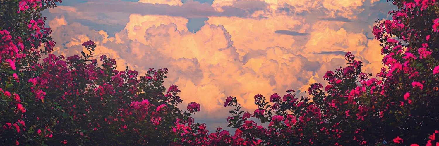valeriadarkling's profile banner image