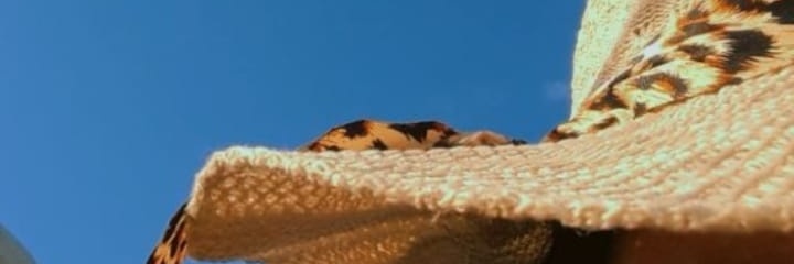 luucepedaa's profile banner image