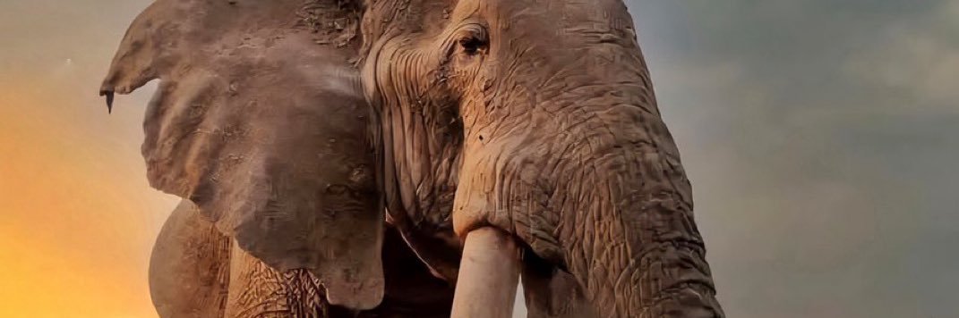 global atomic banner