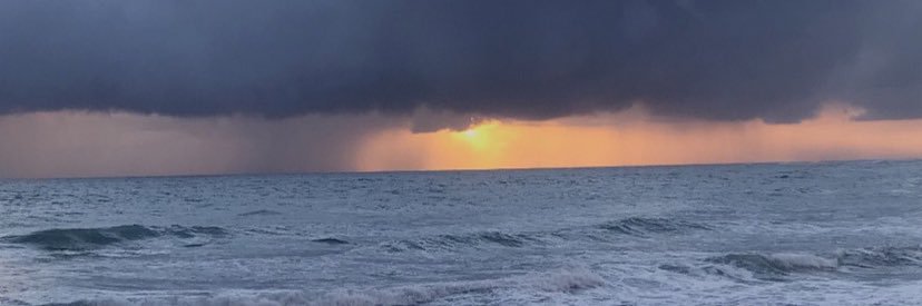rojasf_11's profile banner image