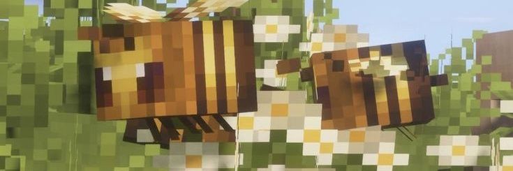 Bumble_b3an's profile banner image