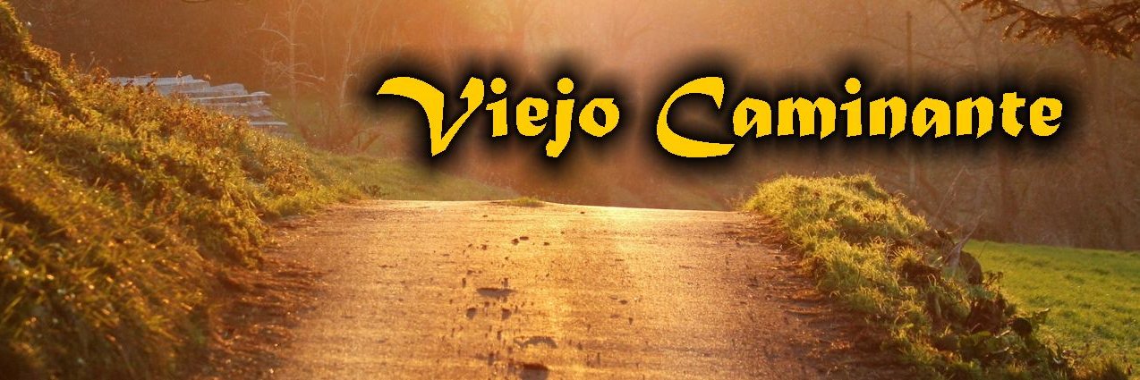 VCaminante2016's profile banner image