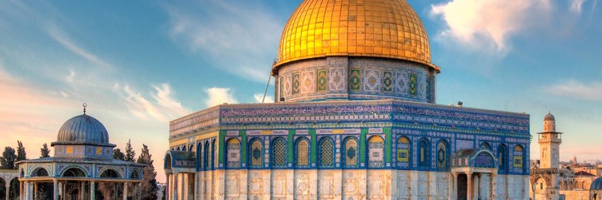 Remzi (Abu Laith) 🇵🇸 banner