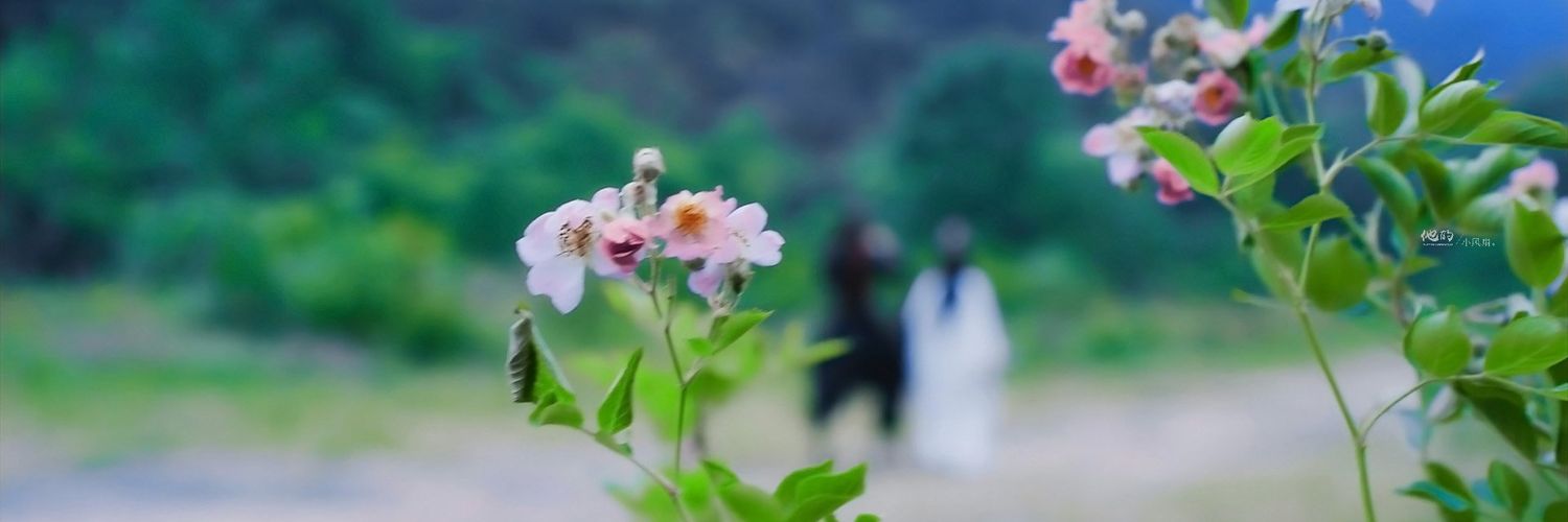 mayybeeng's profile banner image
