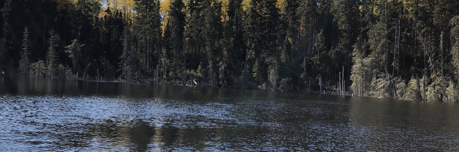 Northern_Rage's profile banner image