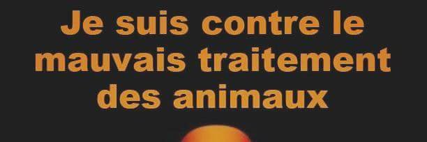 JeanMarieR59's profile banner image