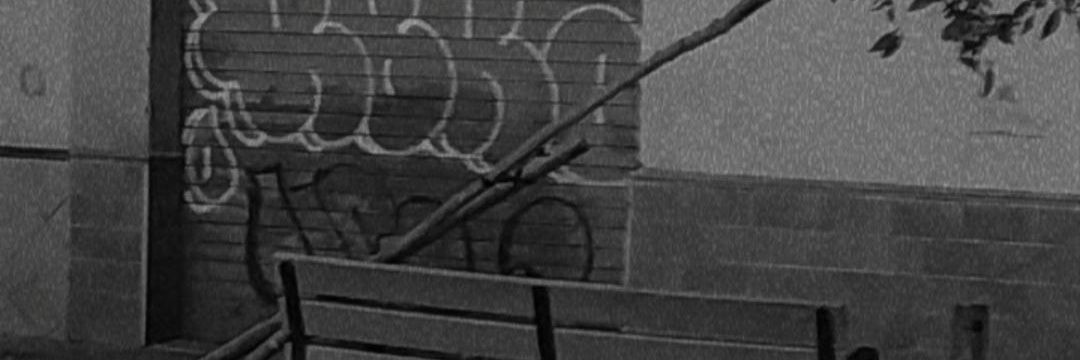Alexiuoa's profile banner image