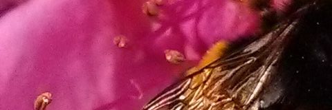 gelvoi_'s profile banner image