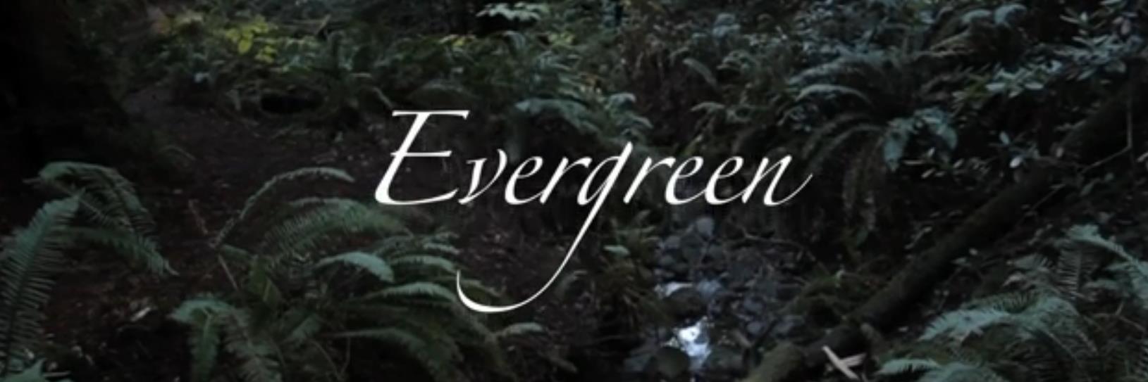 EvergreenSF's profile banner image