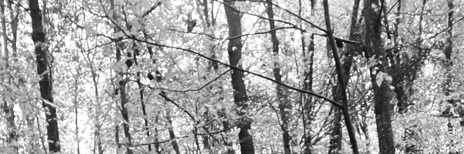 Catherine Ling banner