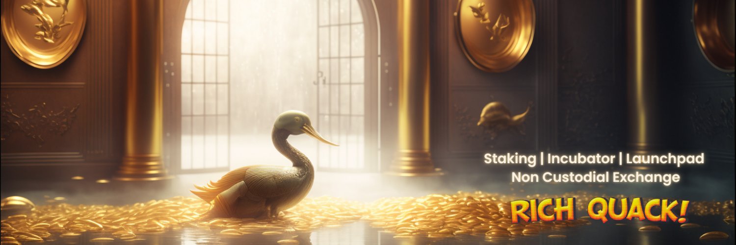 RicbQuack's profile banner image