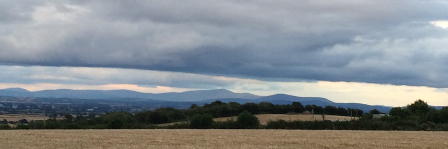danielnelligan's profile banner image