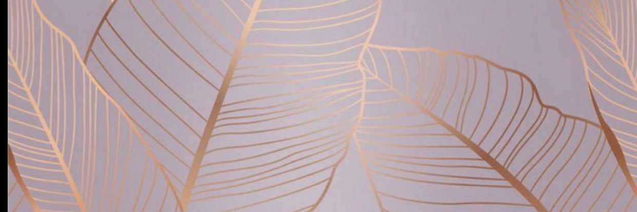 ValtierraVale's profile banner image