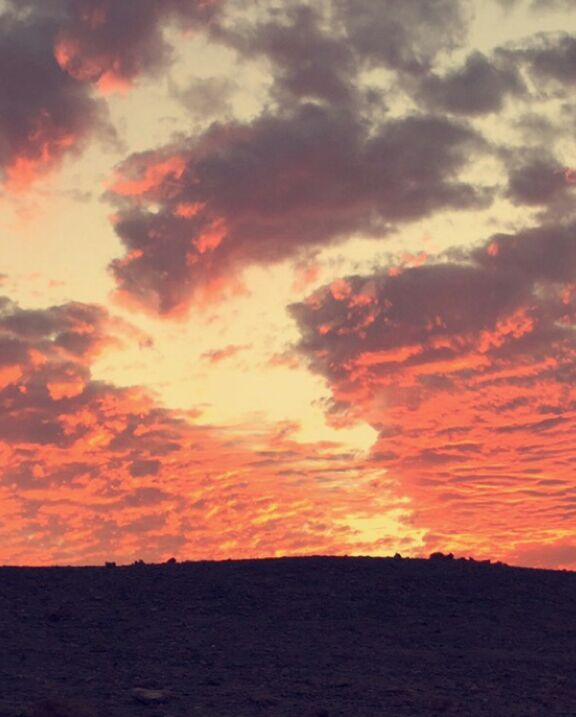 SarahYespdx's profile banner image