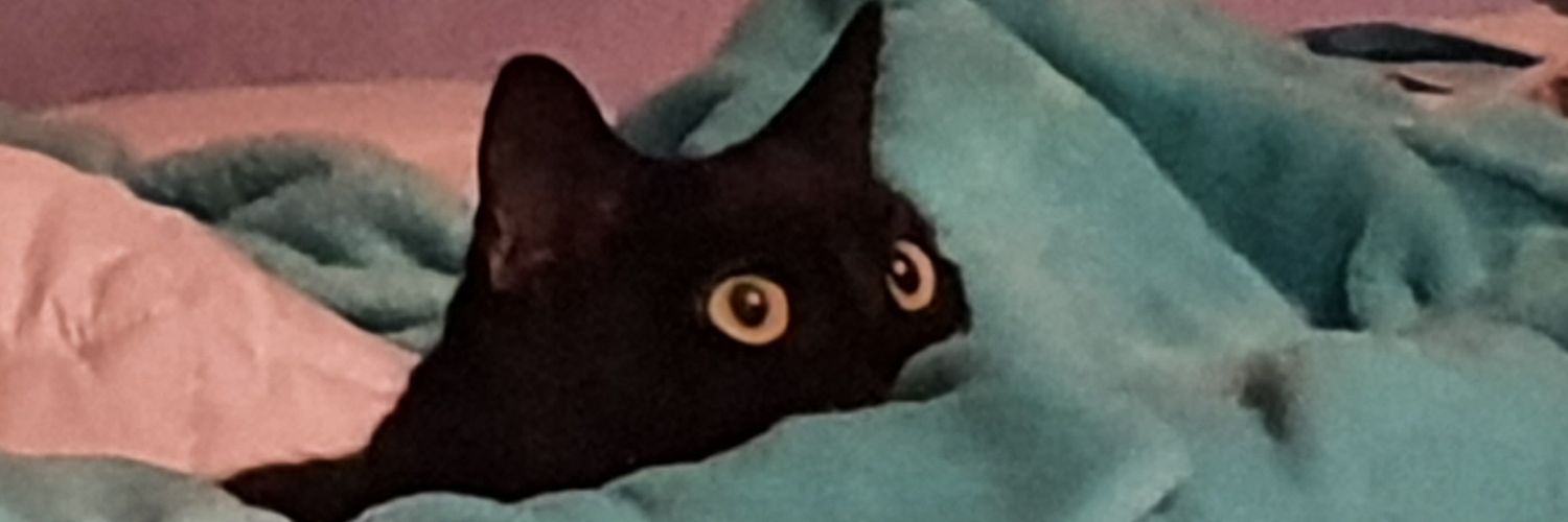 Tommia_'s profile banner image