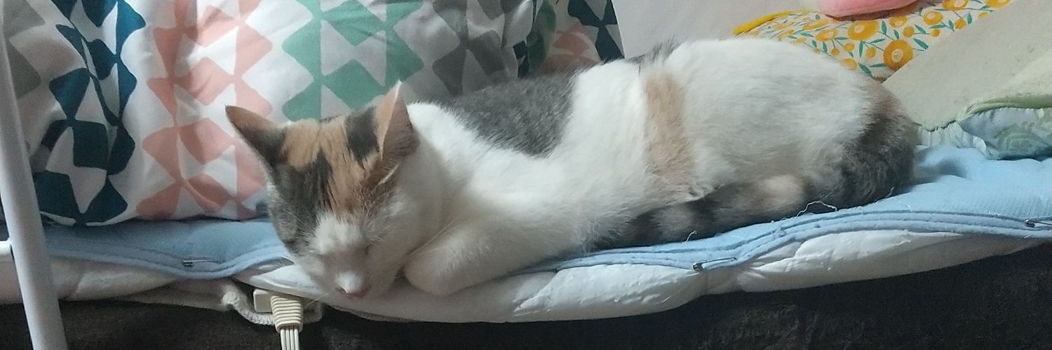 supirusupiru's profile banner image