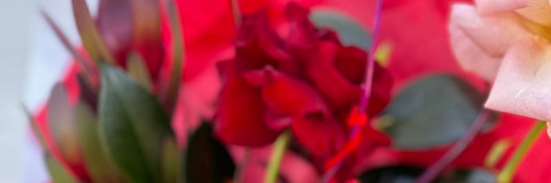 SheBad_ThickToo's profile banner image