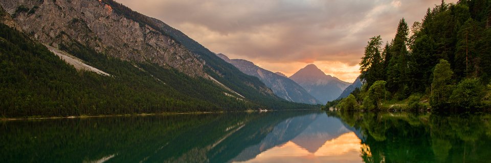 Daniel Wilson banner