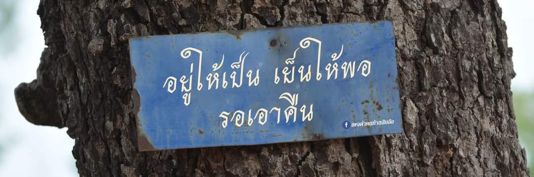 กุ้งแห้งใบผักชี banner