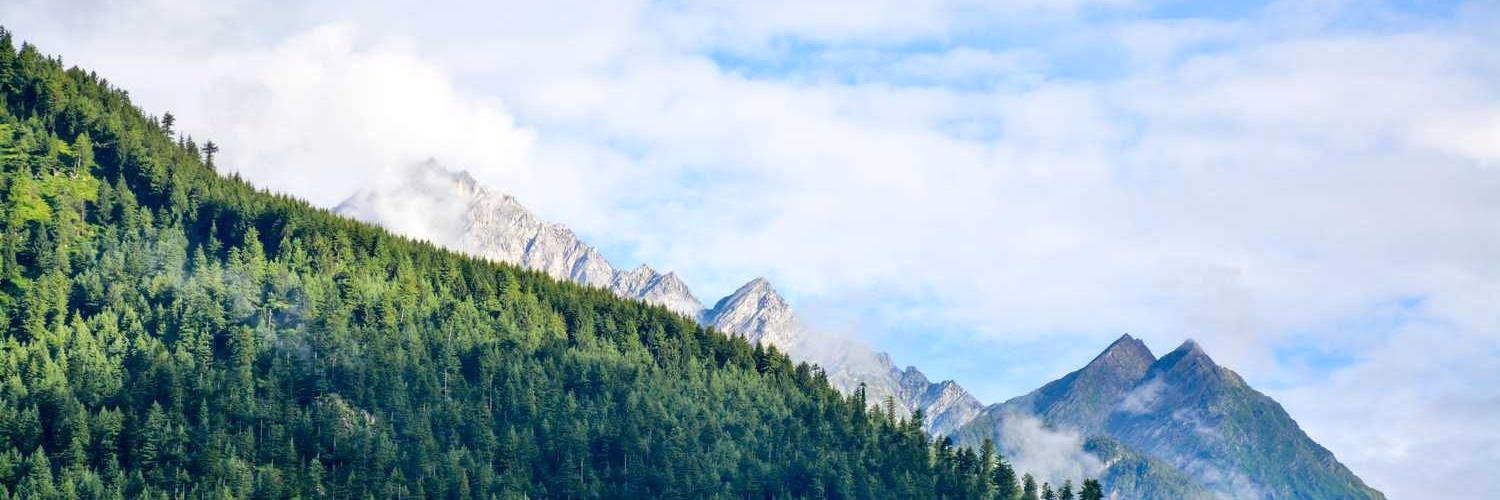 Bridgscoyd's profile banner image