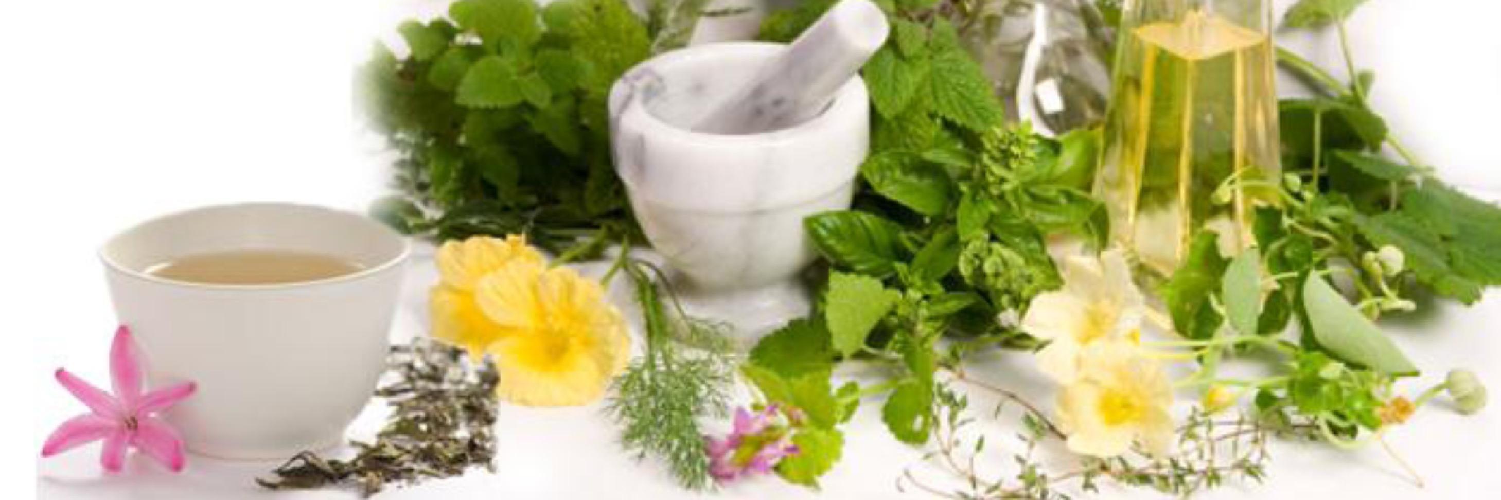 ZenithHerbal's profile banner image