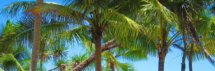 RunTwrdsTravel's profile banner image
