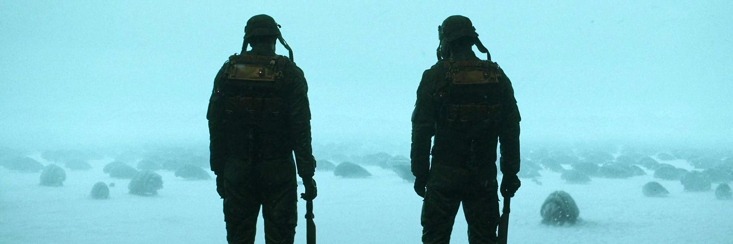 broccolivo's profile banner image