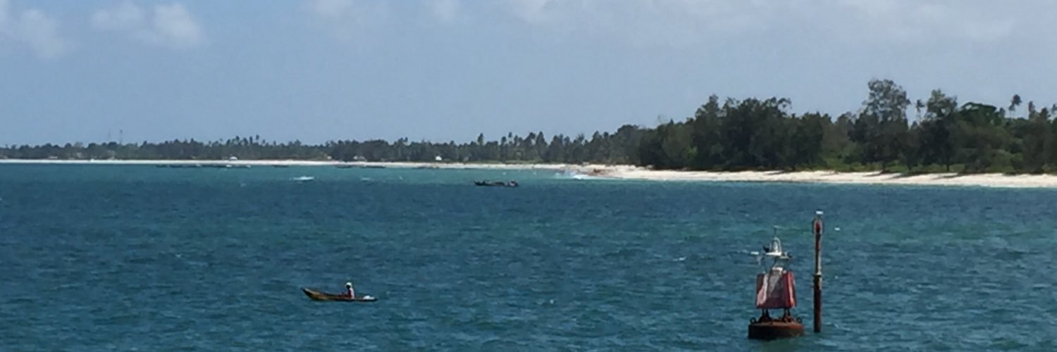 zanzibar banner