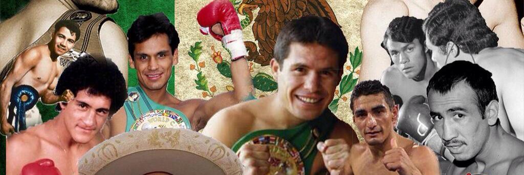 tiger_jose's profile banner image