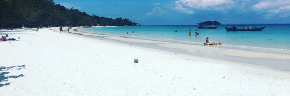 HollyMurdy's profile banner image