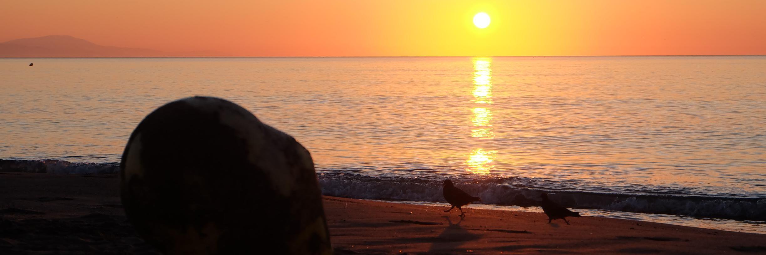 DavidJonReid's profile banner image