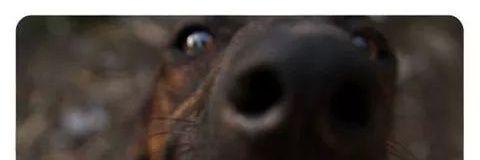 jazross2109's profile banner image