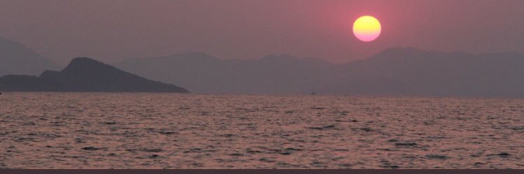 tunc988's profile banner image
