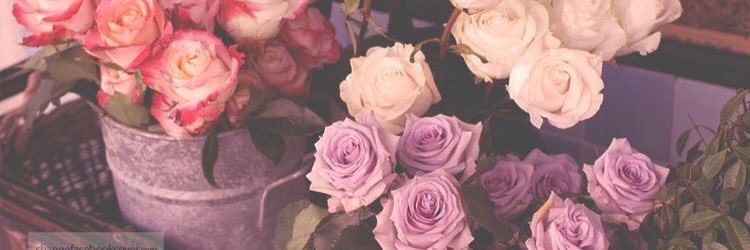 RosesBakery98's profile banner image