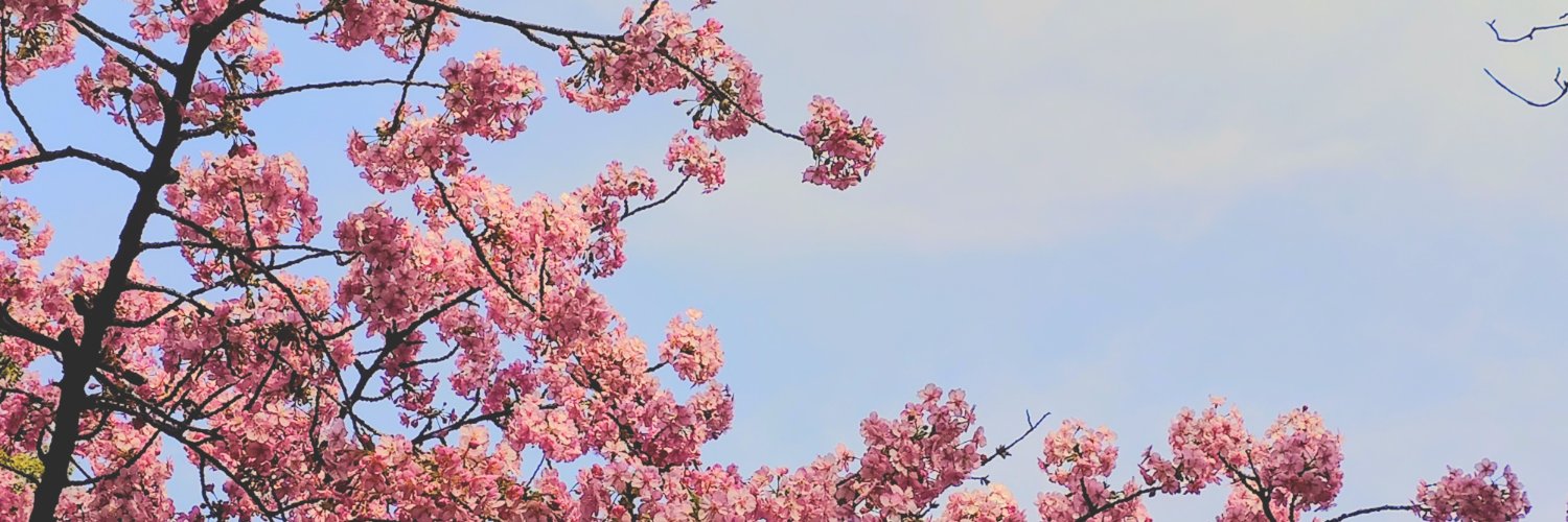 Mitsu_Yellow231's profile banner image