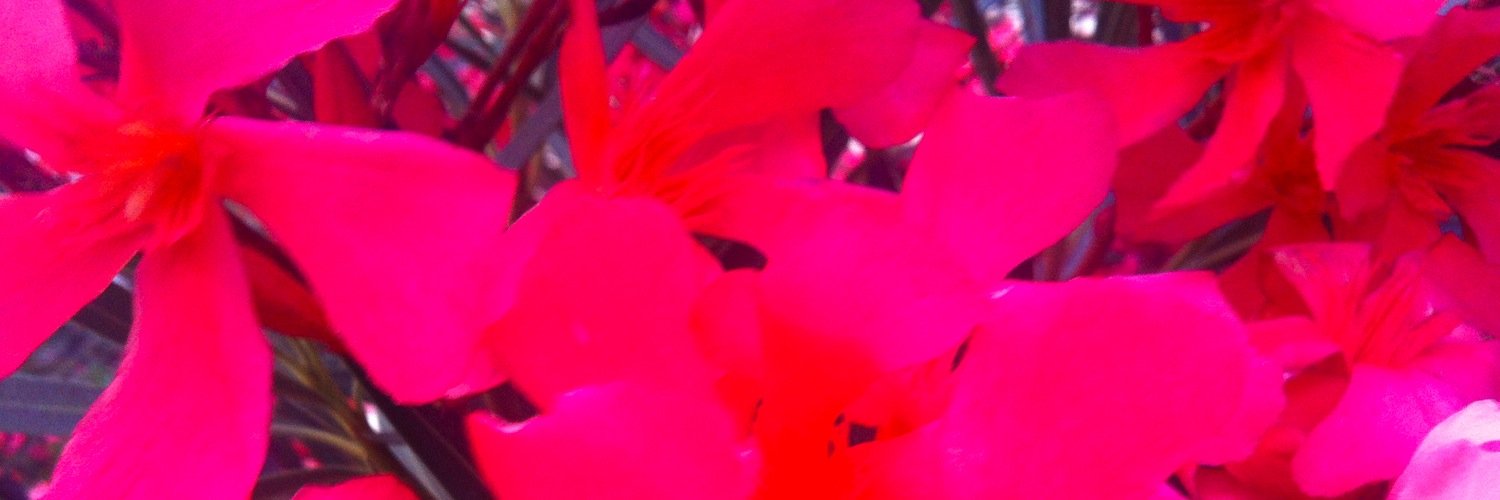 Chrystèle GAILLAC banner