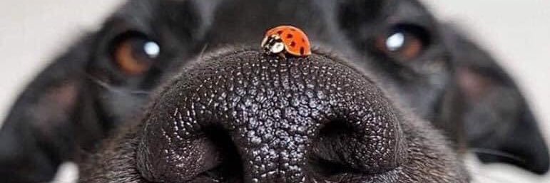 veronsO_'s profile banner image