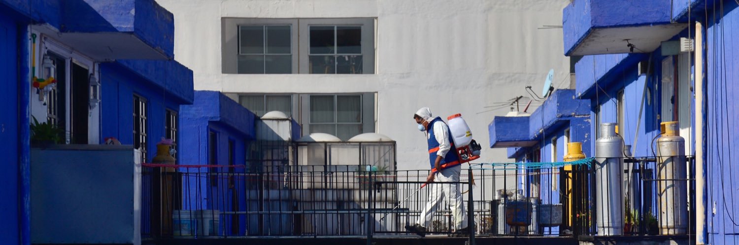 Lucía Flores banner