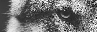 ömerliii banner