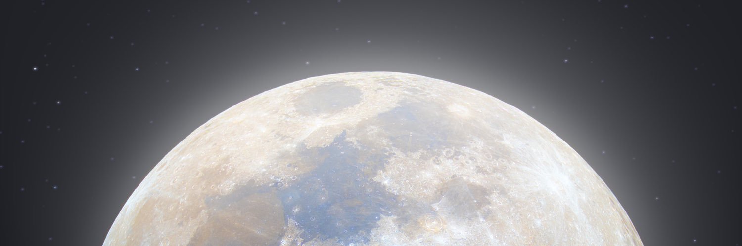 zyzy banner