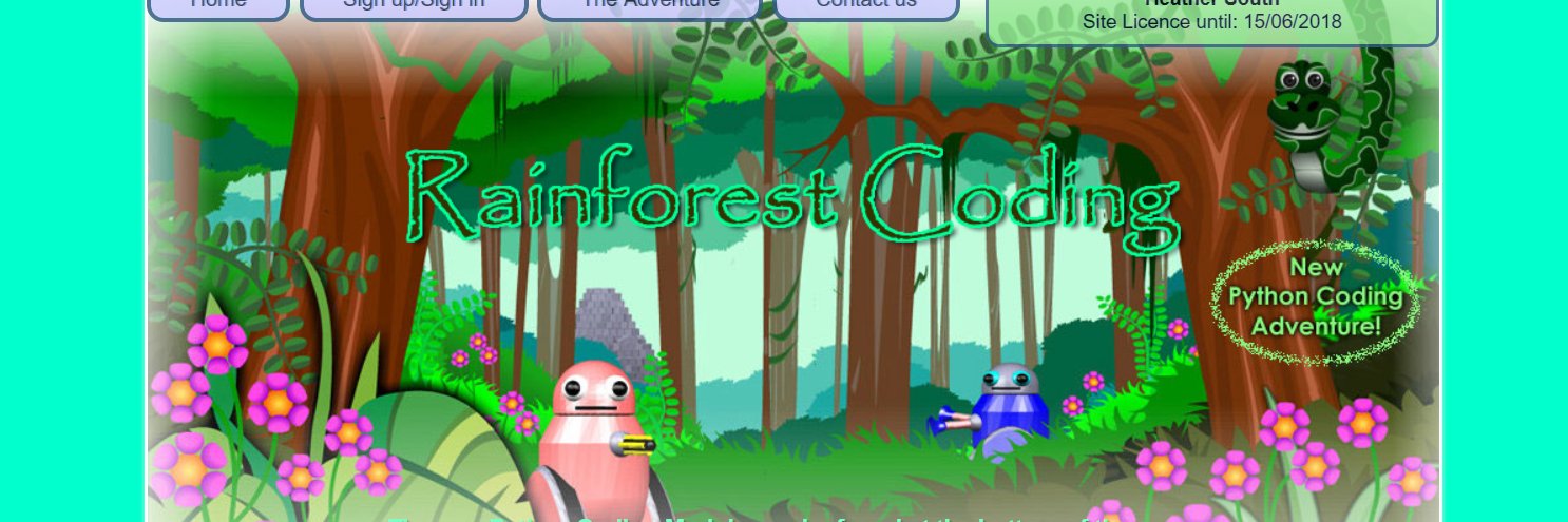 Rainforest Coding banner