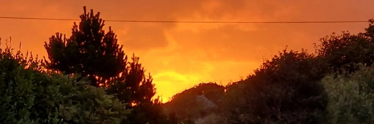 lyn_foley's profile banner image