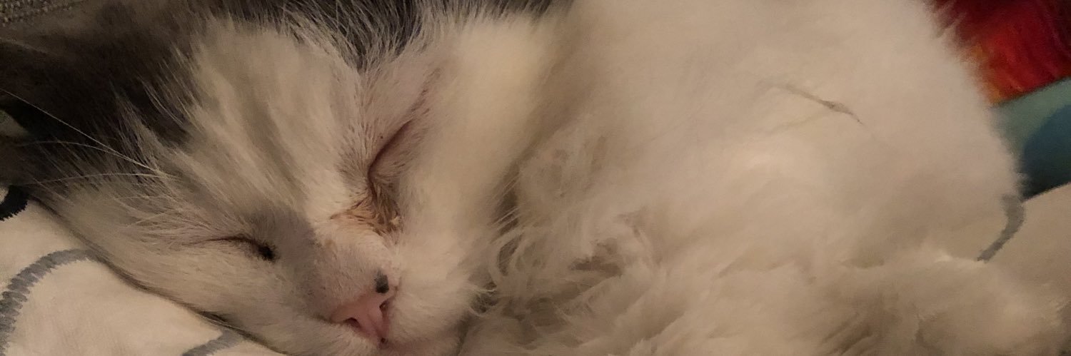 wyethclarkson's profile banner image