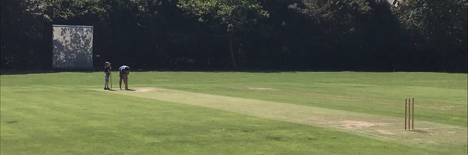 Steve Crane/Hansell 💎 banner