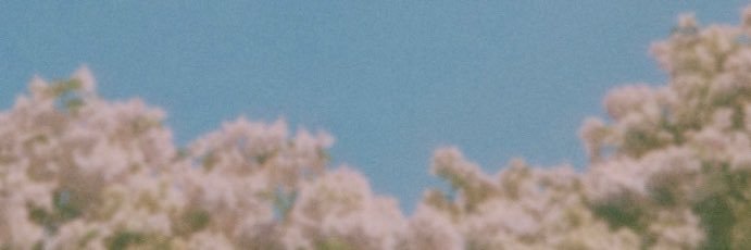 wallfl0werr's profile banner image