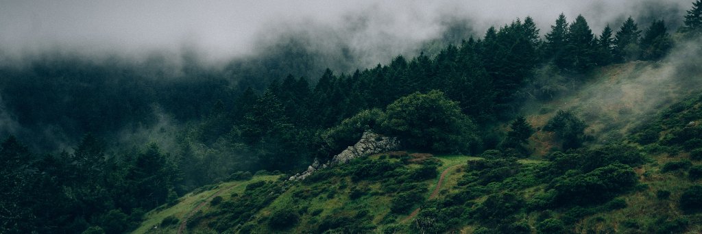 Никита Осенний banner