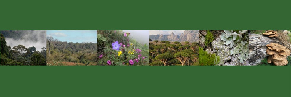 Edinburgh Journal of Botany banner