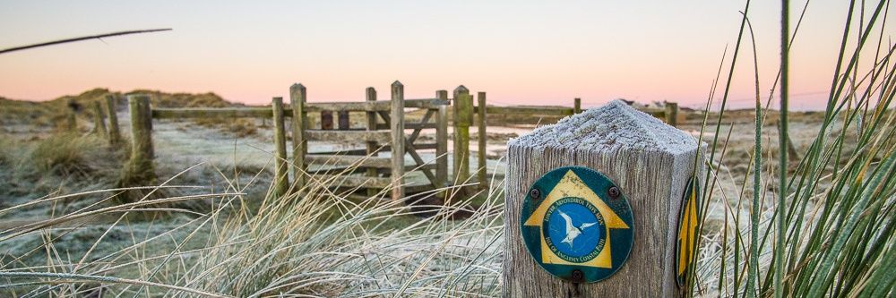 Warren Cardwell banner